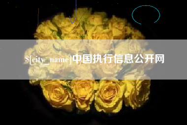 南漳中国执行信息公开网