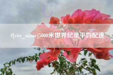 南漳5000米世界纪录平均配速