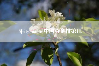 南漳中国夺金排第几