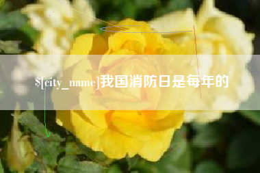 南漳我国消防日是每年的