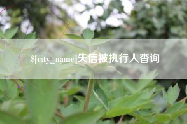 南漳失信被执行人杳询