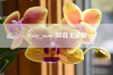 南漳邱县王子磊