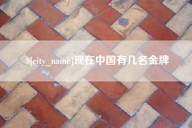 南漳现在中国有几名金牌