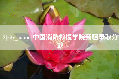 南漳中国消防救援学院新疆录取分数