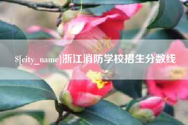 南漳浙江消防学校招生分数线