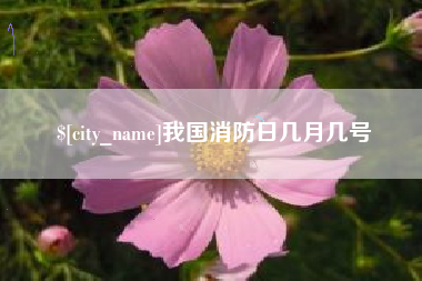 南漳我国消防日几月几号