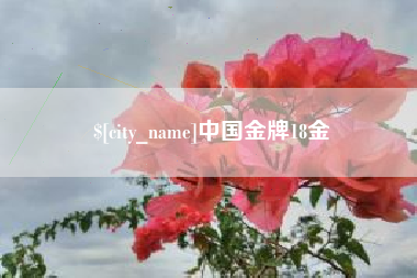 南漳中国金牌18金