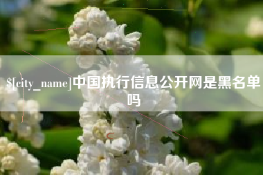 南漳中国执行信息公开网是黑名单吗
