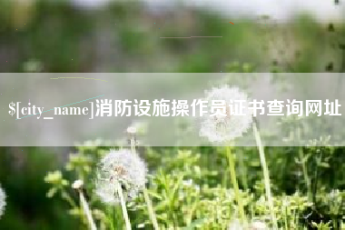 南漳消防设施操作员证书查询网址