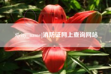 南漳消防证网上查询网站