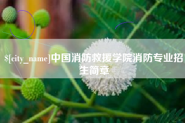 南漳中国消防救援学院消防专业招生简章