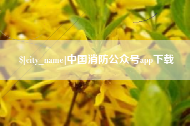 南漳中国消防公众号app下载