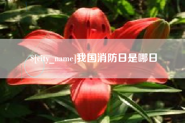 南漳我国消防日是哪日