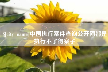 南漳中国执行案件查询公开网都是执行不了得案子