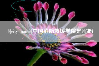 南漳中国消防救援学院是985吗