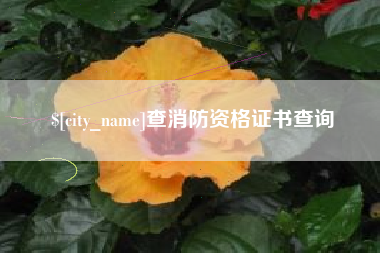 南漳查消防资格证书查询