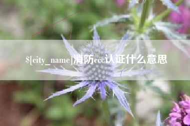 南漳消防ccc认证什么意思