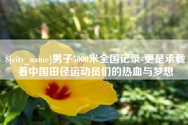 南漳男子5000米全国记录-更是承载着中国田径运动员们的热血与梦想