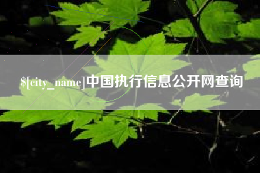 南漳中国执行信息公开网查询