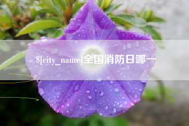 南漳全国消防日哪一