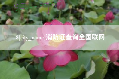 南漳消防证查询全国联网
