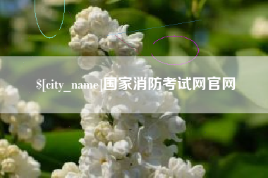 南漳国家消防考试网官网