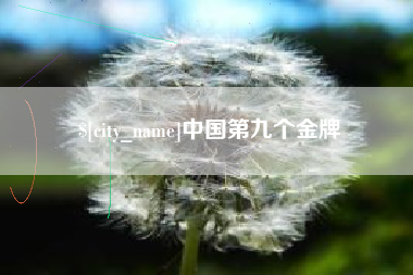 南漳中国第九个金牌