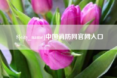 南漳中国消防网官网入口