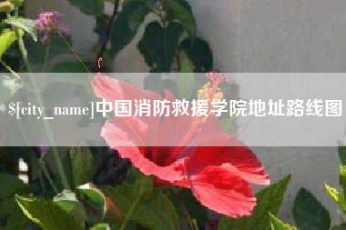 南漳中国消防救援学院地址路线图