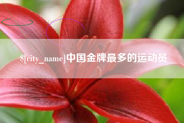南漳中国金牌最多的运动员