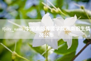 南漳中国消防救援学院湖南招生情况公布