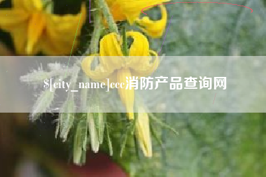 南漳ccc消防产品查询网