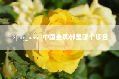 南漳中国金牌都是哪个项目