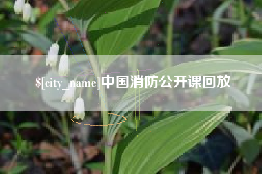 南漳中国消防公开课回放