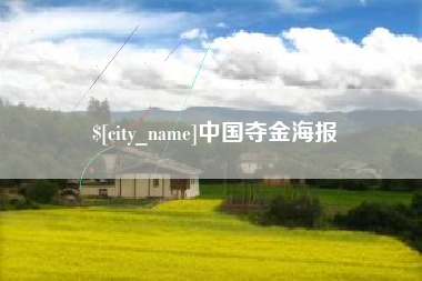 南漳中国夺金海报