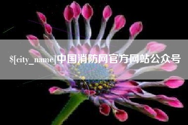 南漳中国消防网官方网站公众号