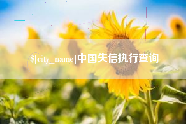 南漳中国失信执行查询