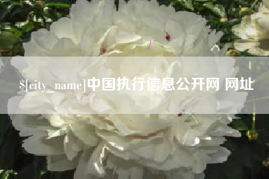 南漳中国执行信息公开网 网址