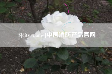 南漳中国消防产品官网