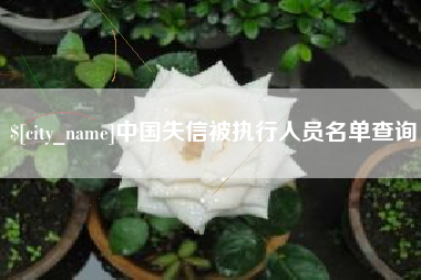 南漳中国失信被执行人员名单查询