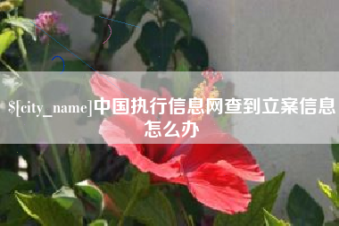 南漳中国执行信息网查到立案信息怎么办