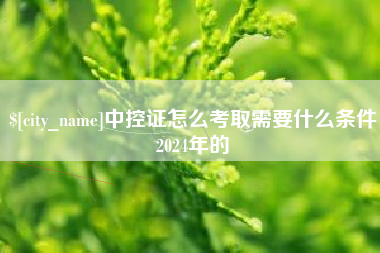 南漳中控证怎么考取需要什么条件2024年的