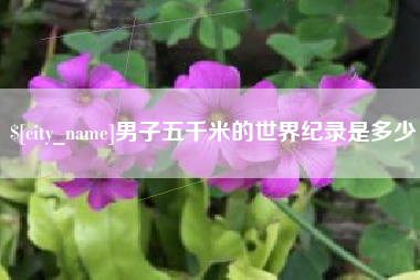 南漳男子五千米的世界纪录是多少
