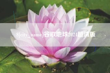 南漳谷歌地球2024超清版