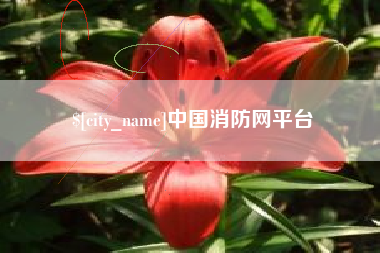 南漳中国消防网平台
