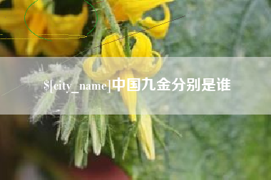南漳中国九金分别是谁