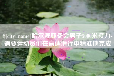 南漳哈尔滨亚冬会男子5000米接力-需要运动员们在高速滑行中精准地完成