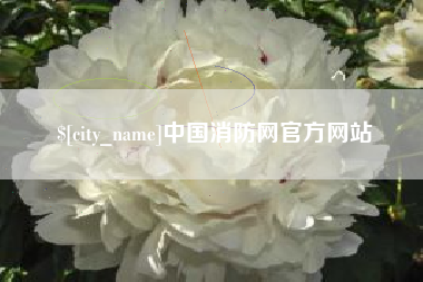 南漳中国消防网官方网站