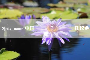 南漳中国🇨🇳几枚金牌