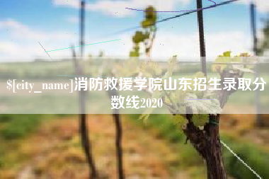 南漳消防救援学院山东招生录取分数线2020